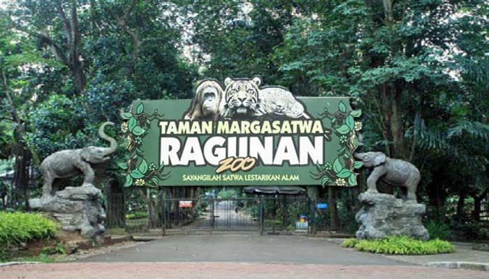 Kebun Binatang Ragunan Jakarta: Harga Tiket & Jam Buka
